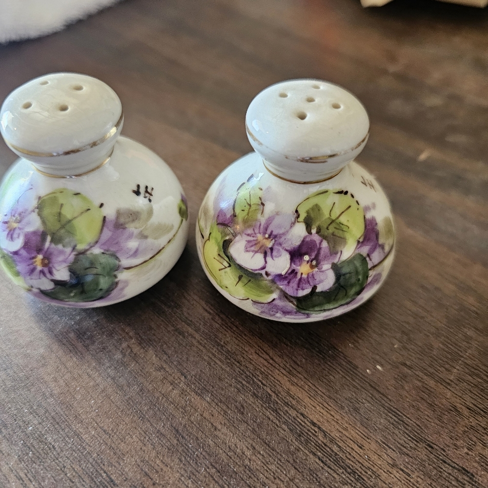 Vintage Hand Painted Salt & Pepper Set
